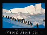 Kalender Pinguine.